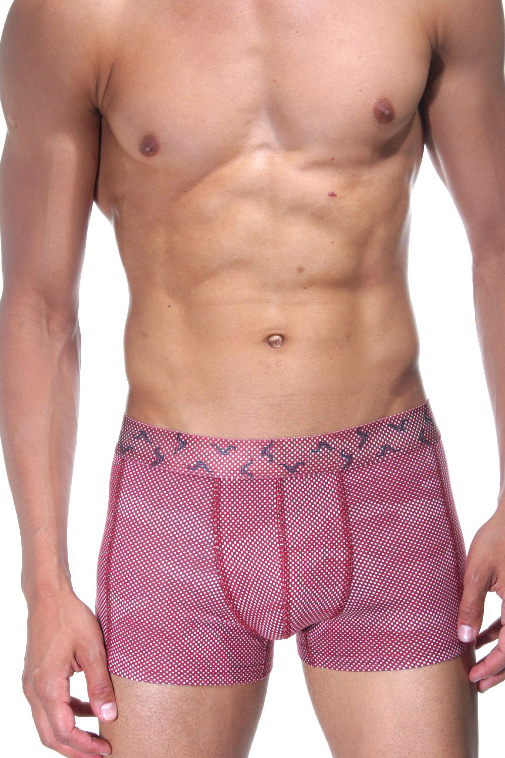 JACK ADAMS Pants auf oboy.de