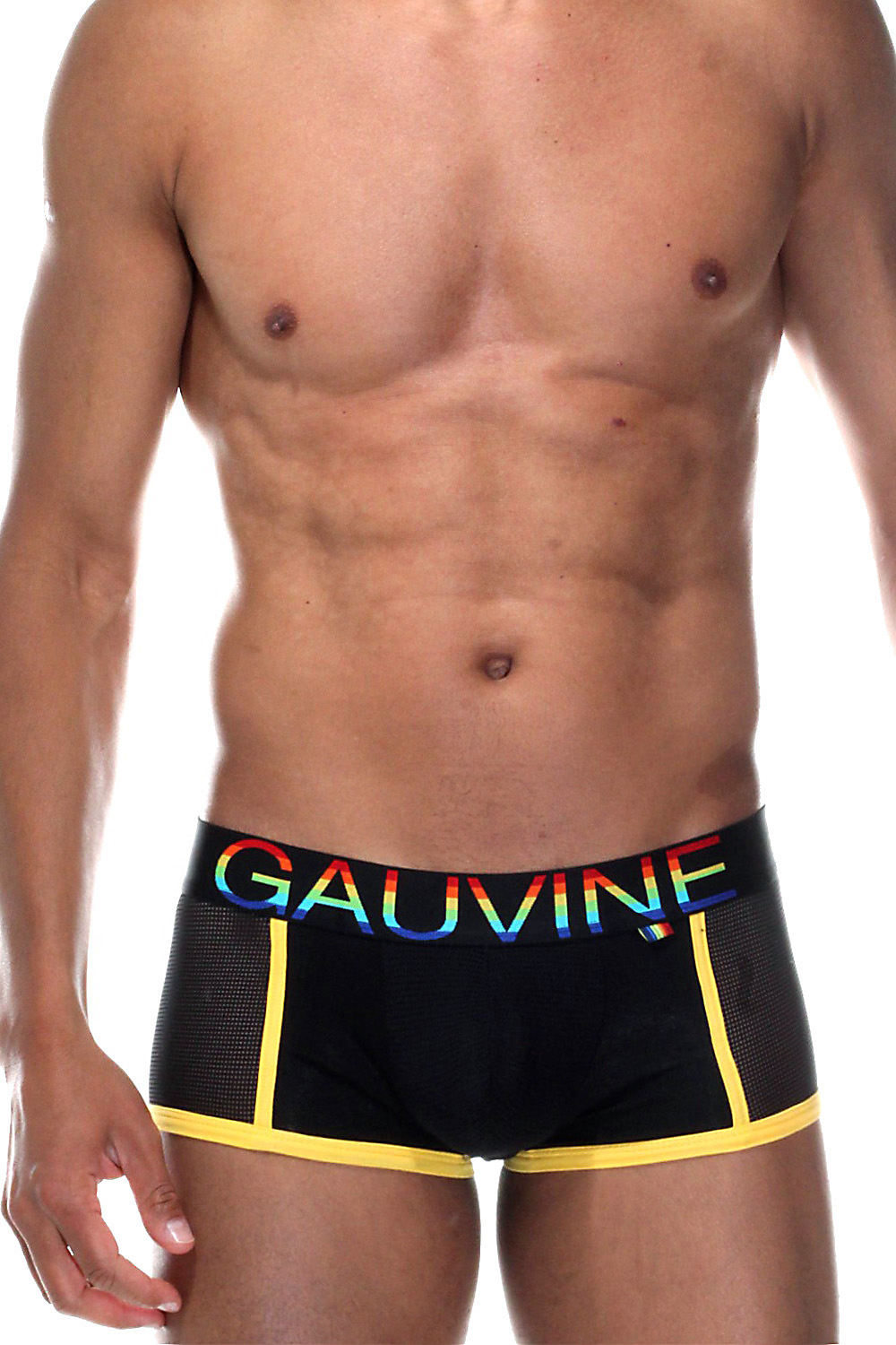 GAUVINE Netzpants auf oboy.de