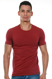 DOREANSE T-Shirt auf oboy.de