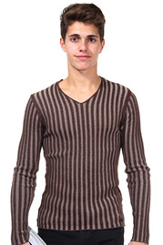 R-NEAL Pullover V-Ausschnitt slim fit auf oboy.de