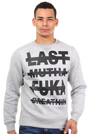 R-NEAL Sweater Rundhals regular fit auf oboy.de