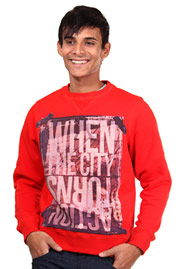 R-NEAL Sweater Rundhals regular fit auf oboy.de