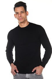 BULLFROG Pullover Rundhals auf oboy.de