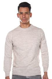 BULLFROG Pullover Rundhals auf oboy.de