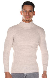 BULLFROG Rollkragenpullover auf oboy.de