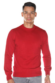 BULLFROG Pullover Rundhals auf oboy.de