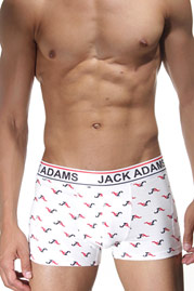 JACK ADAMS Pants auf oboy.de