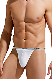 GAUVINE G-String auf oboy.de