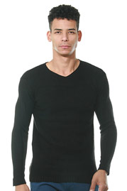 ASV Pullover auf oboy.de