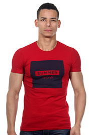 FIOCEO T-Shirt Rundhals auf oboy.de