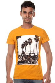 FIOCEO T-Shirt auf oboy.de