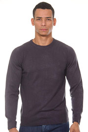 CAZADOR Rundhals-Pullover auf oboy.de